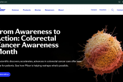 Pfizer (BioPharmaceutical company)